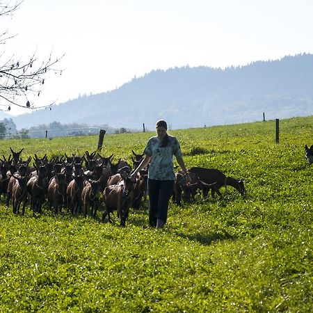 Agroturistika Kozi Farma Rožnov pod Radhoštěm Kültér fotó